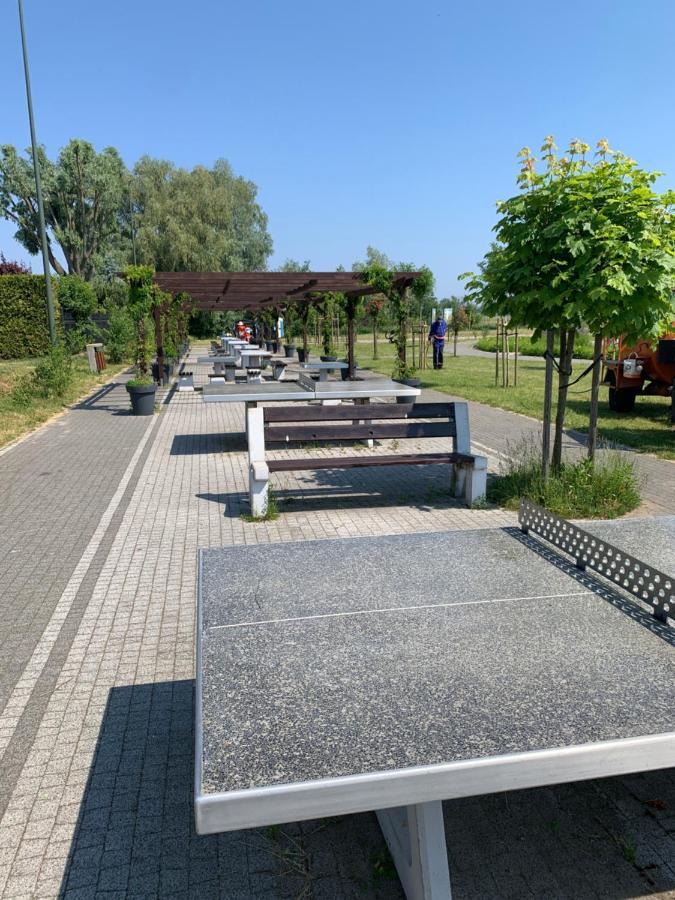 Zloty Piach Apart otel Władysławowo Dış mekan fotoğraf